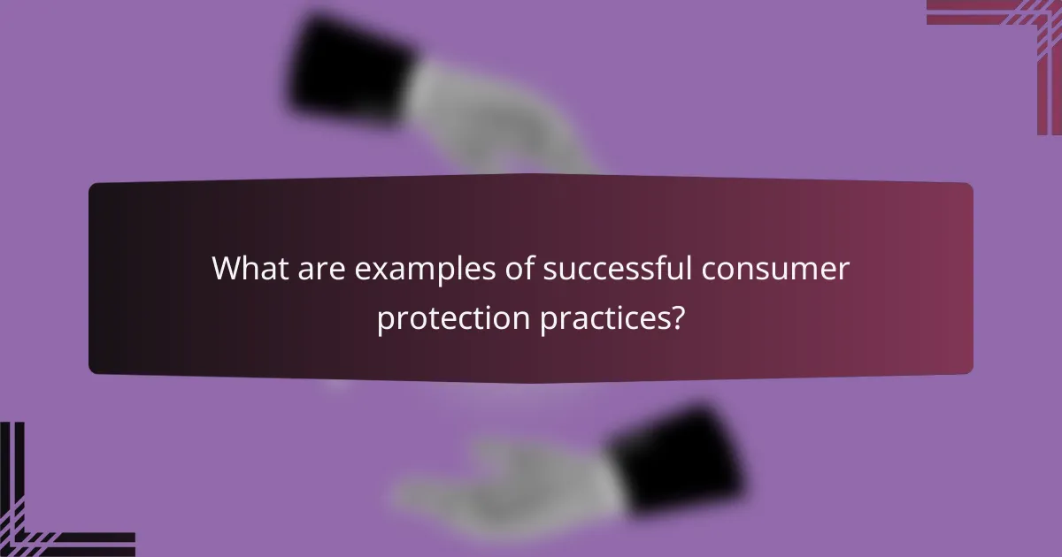 What are examples of successful consumer protection practices?