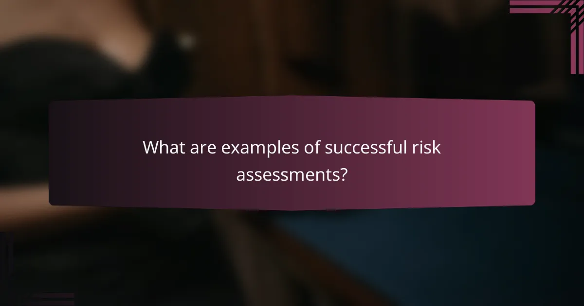 What are examples of successful risk assessments?