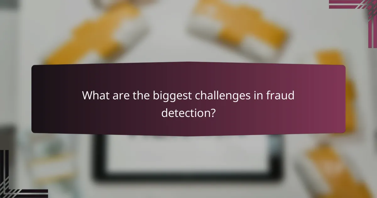 What are the biggest challenges in fraud detection?