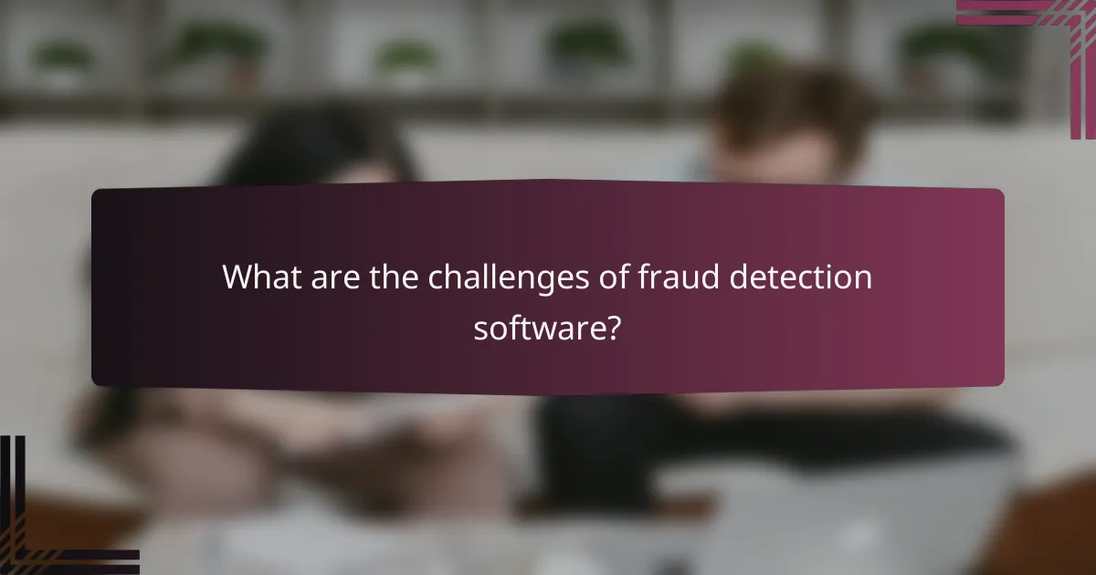 What are the challenges of fraud detection software?