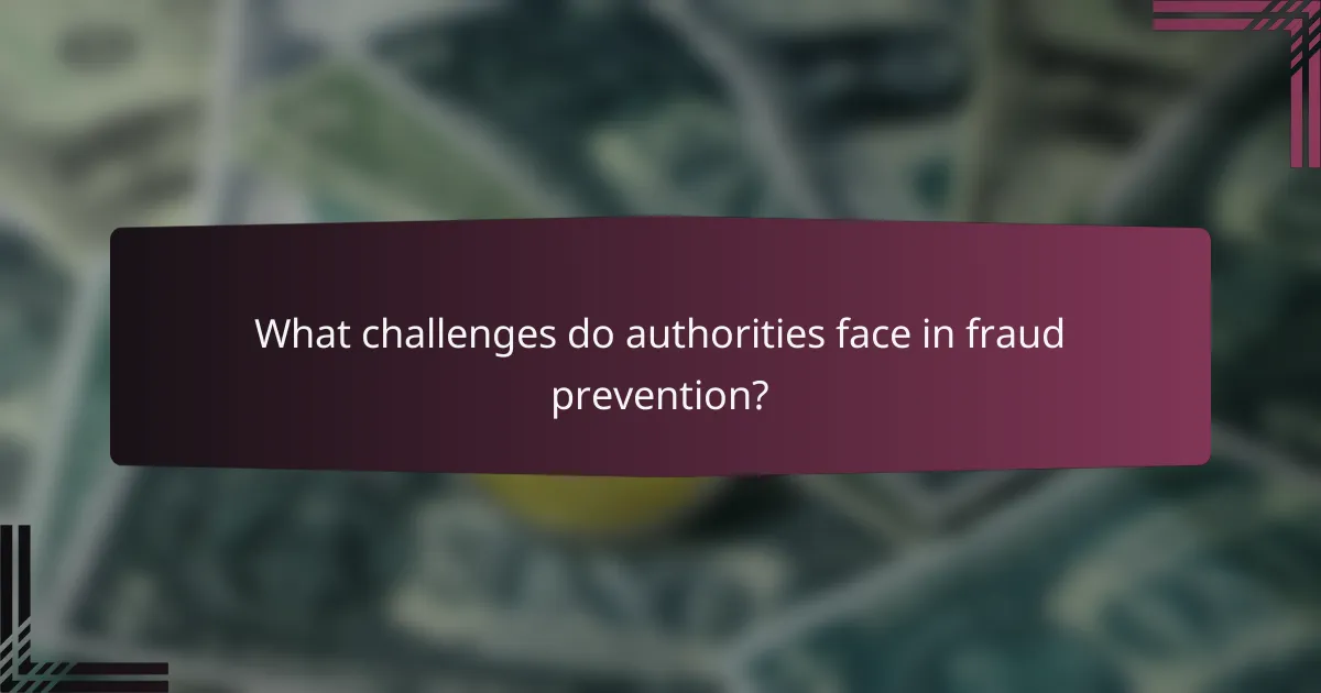 What challenges do authorities face in fraud prevention?